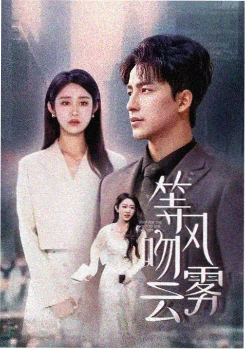 第七个证人 律政悬疑剧在线观看