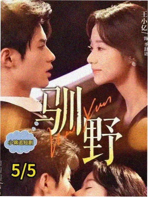 归途列车 公路剧情剧在线观看